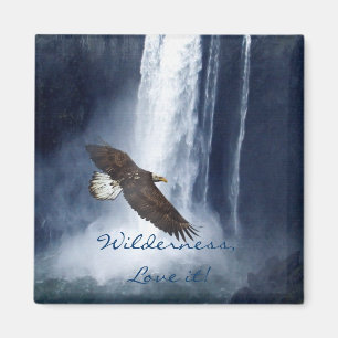 Bald Eagle & Waterfall Wildlife Nature Magnet