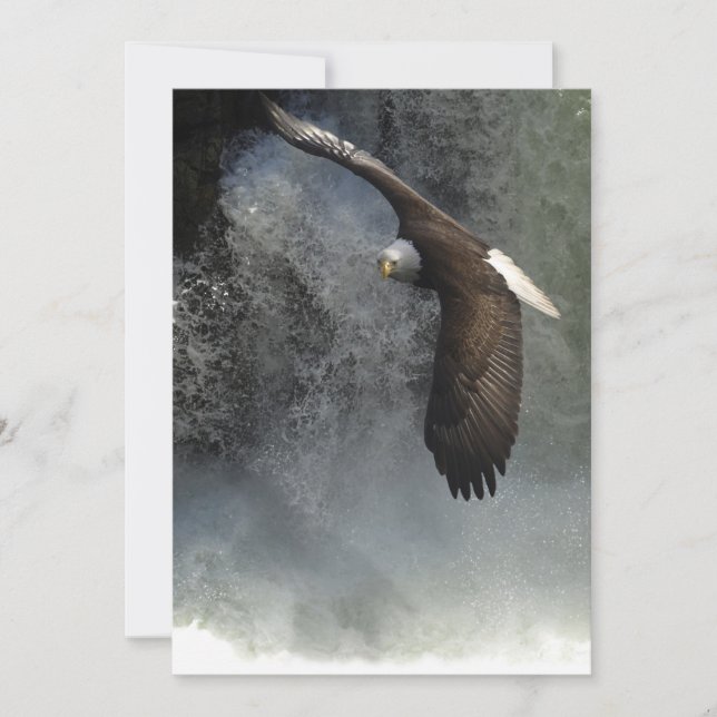 Bald Eagle & Waterfalls Invitation Cards (Front)