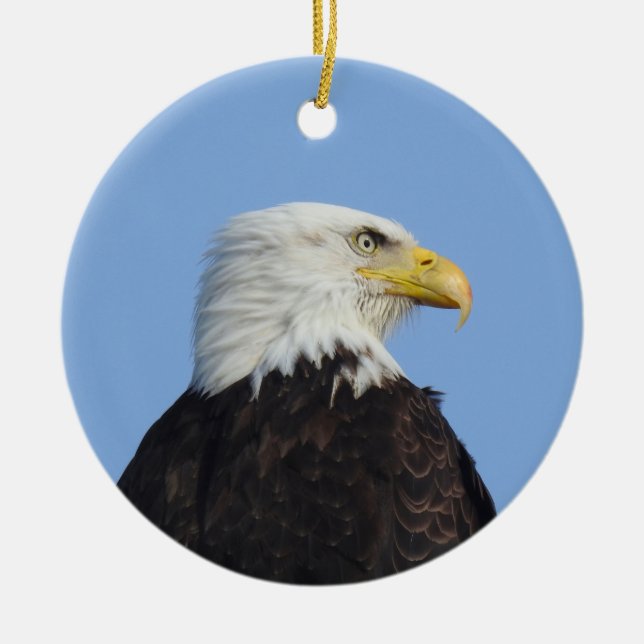 Bald eagle, wildlife, birds, ceramic ornament (Front)