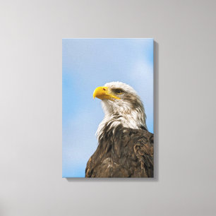 Bald Eagle Wildlife Portrait Art Canvas Print