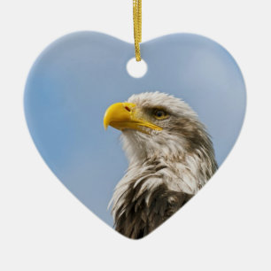 Bald Eagle Wildlife Portrait Art Ceramic Tree Decoration