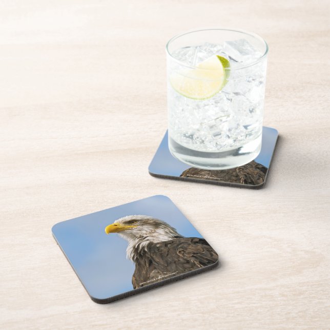 Bald Eagle Wildlife Portrait Art Coaster (Right Side)