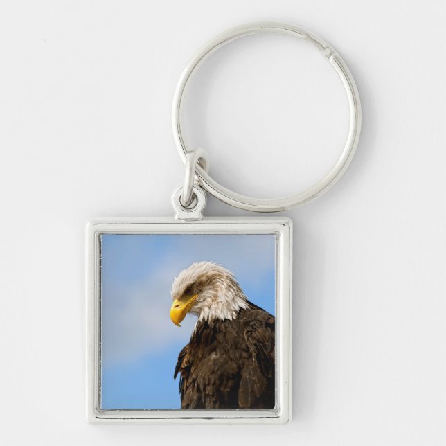 Bald Eagle Wildlife Portrait Art Key Ring (Front)