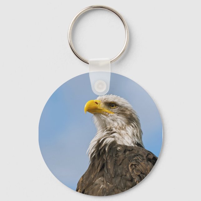 Bald Eagle Wildlife Portrait Art Key Ring (Front)