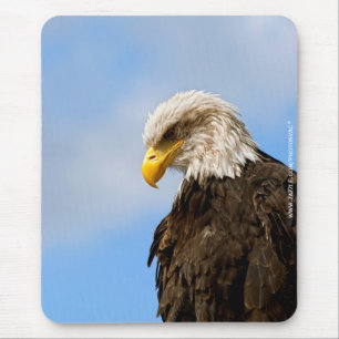 Bald Eagle Wildlife Portrait Art Mouse Mat