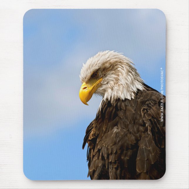 Bald Eagle Wildlife Portrait Art Mouse Mat (Front)