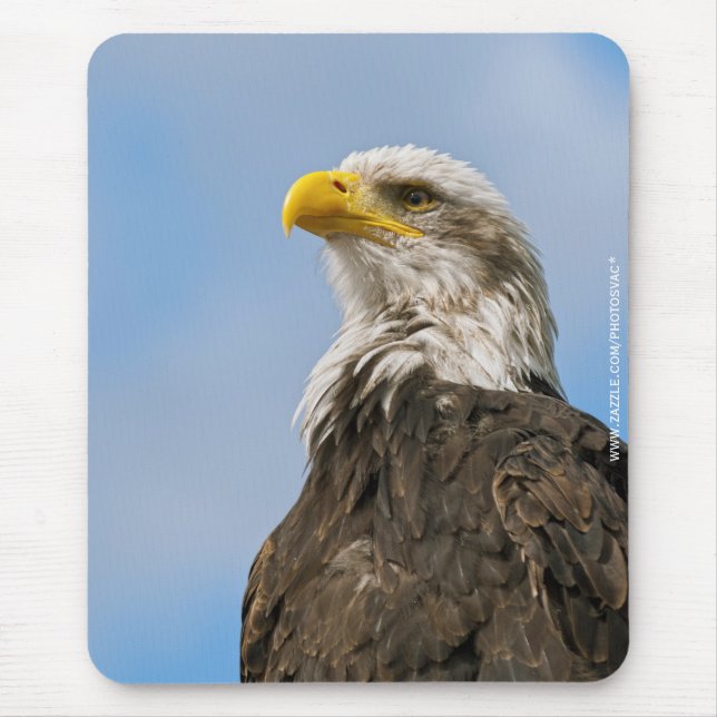 Bald Eagle Wildlife Portrait Art Mouse Mat (Front)