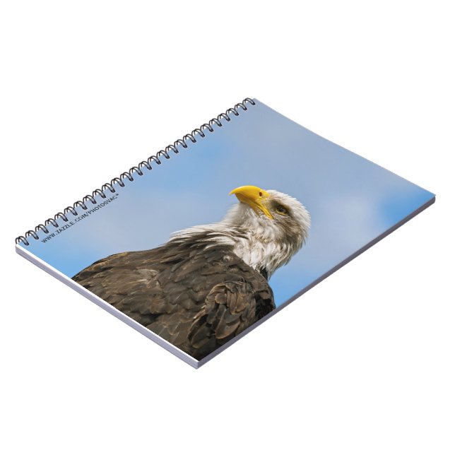 Bald Eagle Wildlife Portrait Art Notebook (Left Side)