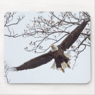 Bald Eagle Wingspread Mouse Mat