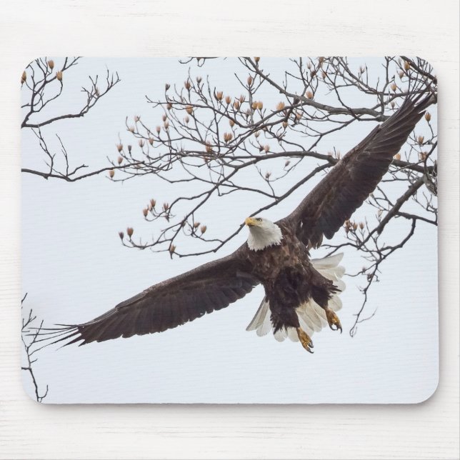 Bald Eagle Wingspread Mouse Mat (Front)