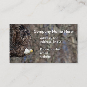 Bald Eagle with a Catfish Business Card