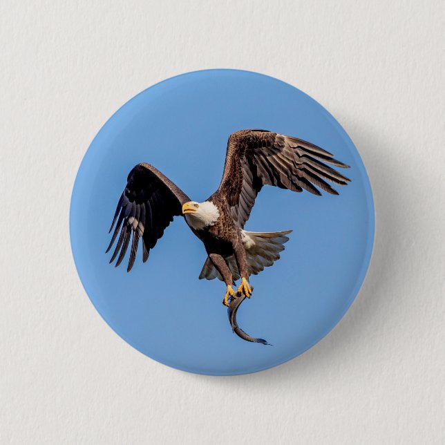 Bald Eagle with a fish 6 Cm Round Badge (Front)