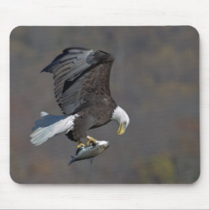 Bald Eagle with a fish Mouse Mat