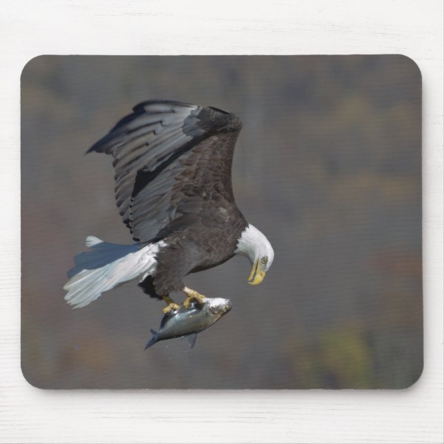 Bald Eagle with a fish Mouse Mat (Front)