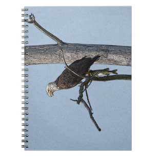 Bald Eagle with a fish Notebook