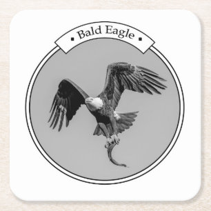 Bald Eagle with a fish Square Paper Coaster