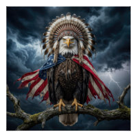 Bald Eagle With American Flag Cape and Headdress