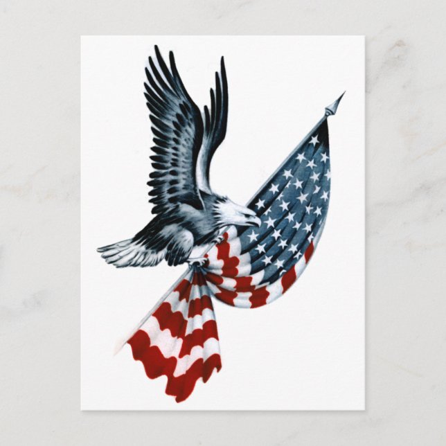 Bald Eagle with American Flag Postcard (Front)