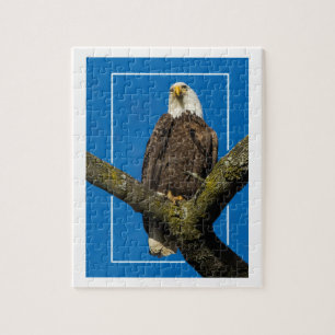 Bald Eagle With Border Jigsaw Puzzle