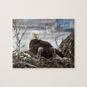 Bald Eagle with eaglets Jigsaw Puzzle