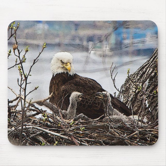 Bald Eagle with eaglets Mouse Mat (Front)