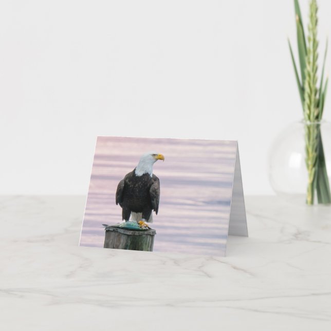 Bald Eagle With Fish Wildlife Photography Blank Thank You Card (Front)