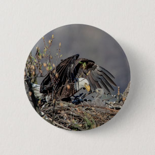 Bald Eagle with her baby 6 Cm Round Badge