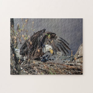 Bald Eagle with her baby Jigsaw Puzzle