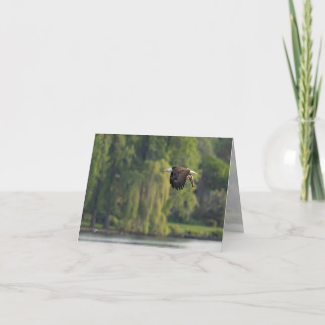 Bald Eagle with Salmon Pacific Northwest Blank Holiday Card (Front)