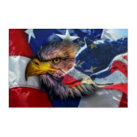 Bald Eagle Wolf American Flag