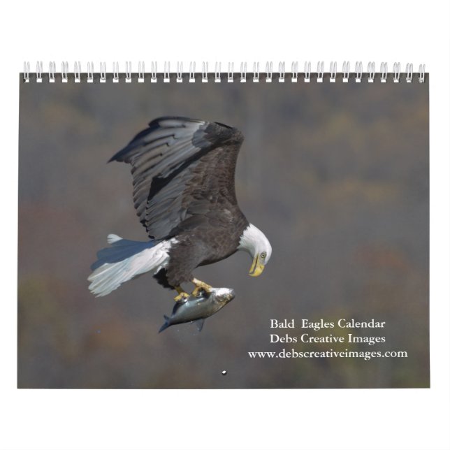 Bald Eagles 2026 Calendar (Cover)