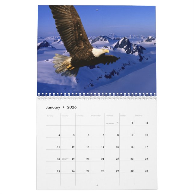 Bald Eagles Calendar (Jan 2026)