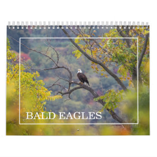 Bald Eagles Calendar