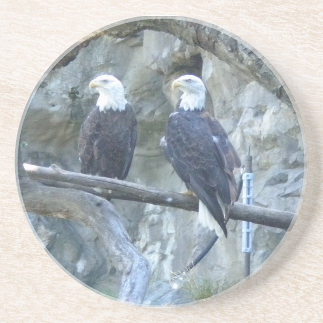 Bald Eagles Coaster (Front)