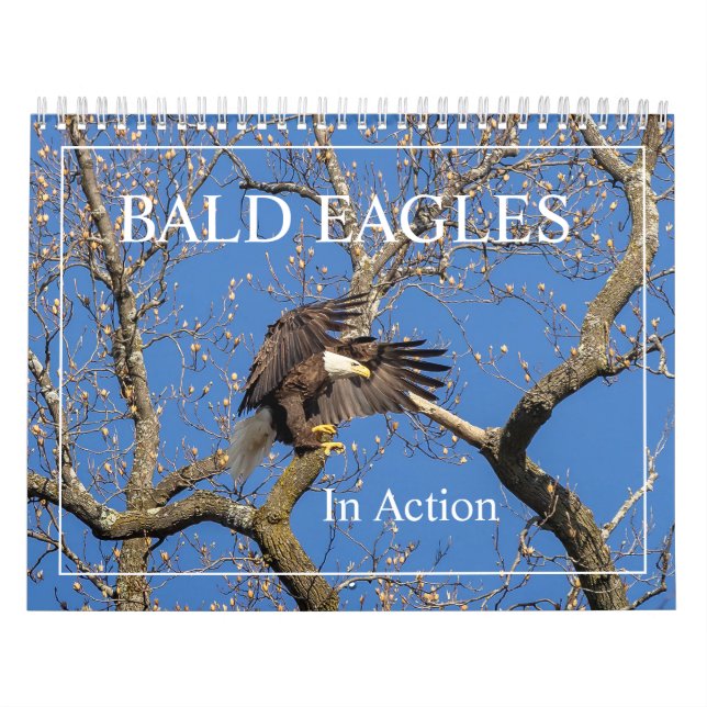 Bald Eagles In Action Calendar (Cover)