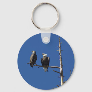 Bald Eagles Key Ring