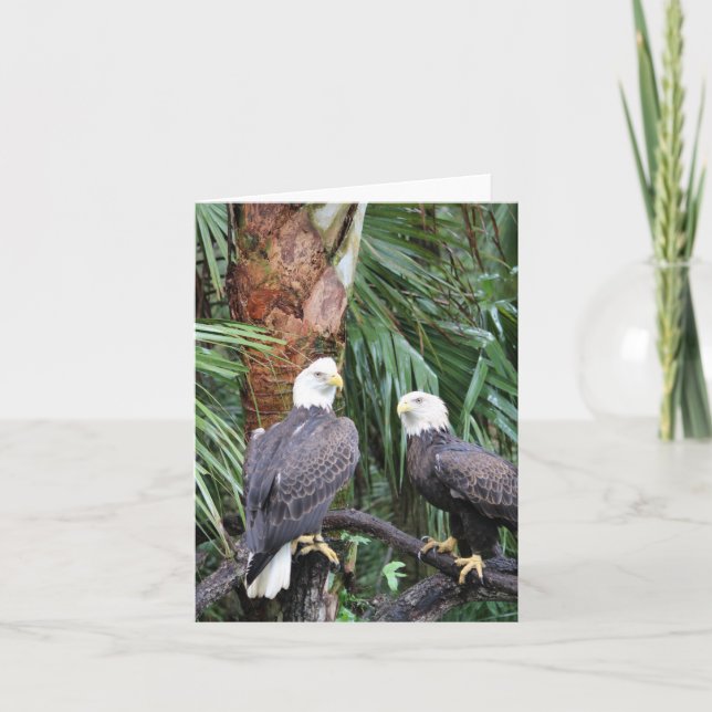 Bald Eagles Photo Folded Note Card (Front)