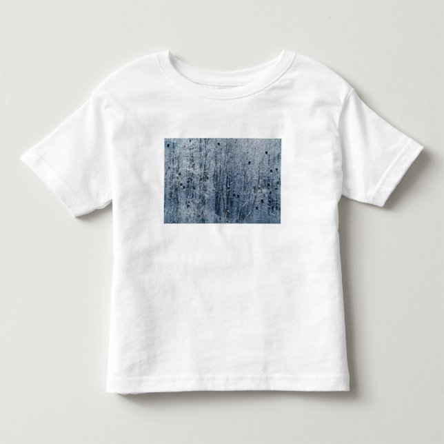Bald Eagles Toddler T-Shirt (Front)