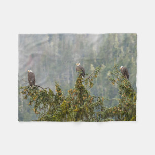 Bald Eagles   Tongass National Forest Alaska Fleece Blanket