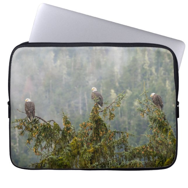 Bald Eagles | Tongass National Forest Alaska Laptop Sleeve (Front)