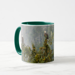 Bald Eagles   Tongass National Forest Alaska Mug