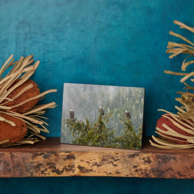 Bald Eagles | Tongass National Forest Alaska Plaque (Side)