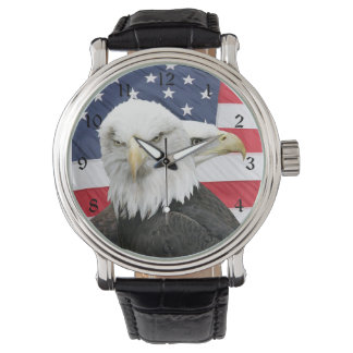 Bald eagles watch