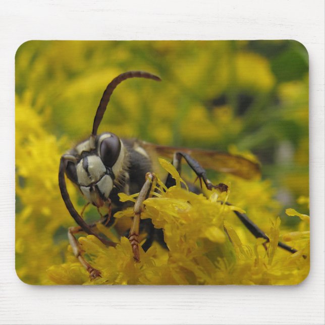 Bald-Faced Hornet Mouse Mat (Front)