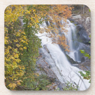 Bald River Falls Coaster