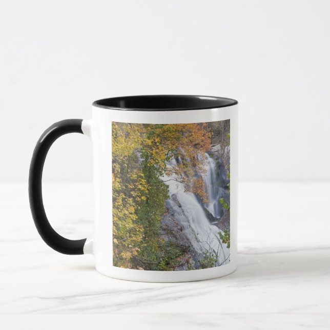 Bald River Falls Mug (Left)