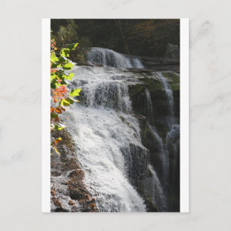 Bald River Falls-Tellico Plains, TN Postcard