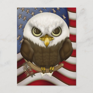 Baldwin The Cute Bald Eagle Postcard