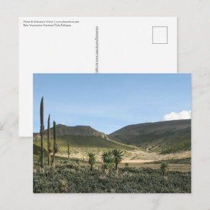 Bale Mountains Ethiopia Postcard