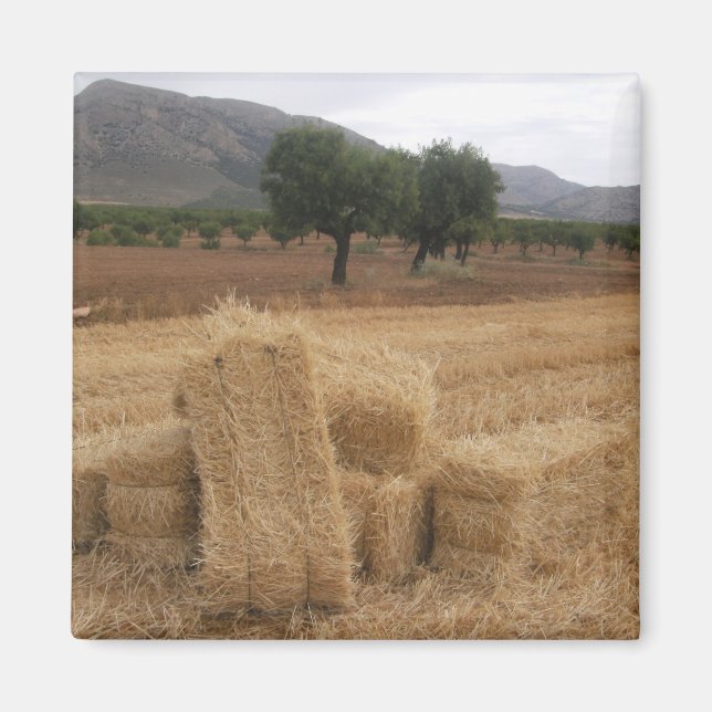 Bales & Almond Trees Magnet (Front)